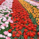 کیا آرام طلبی مرد کا حق نہیں؟